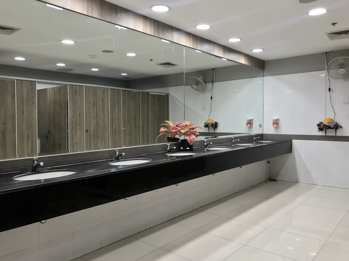 Low Iron Mirror